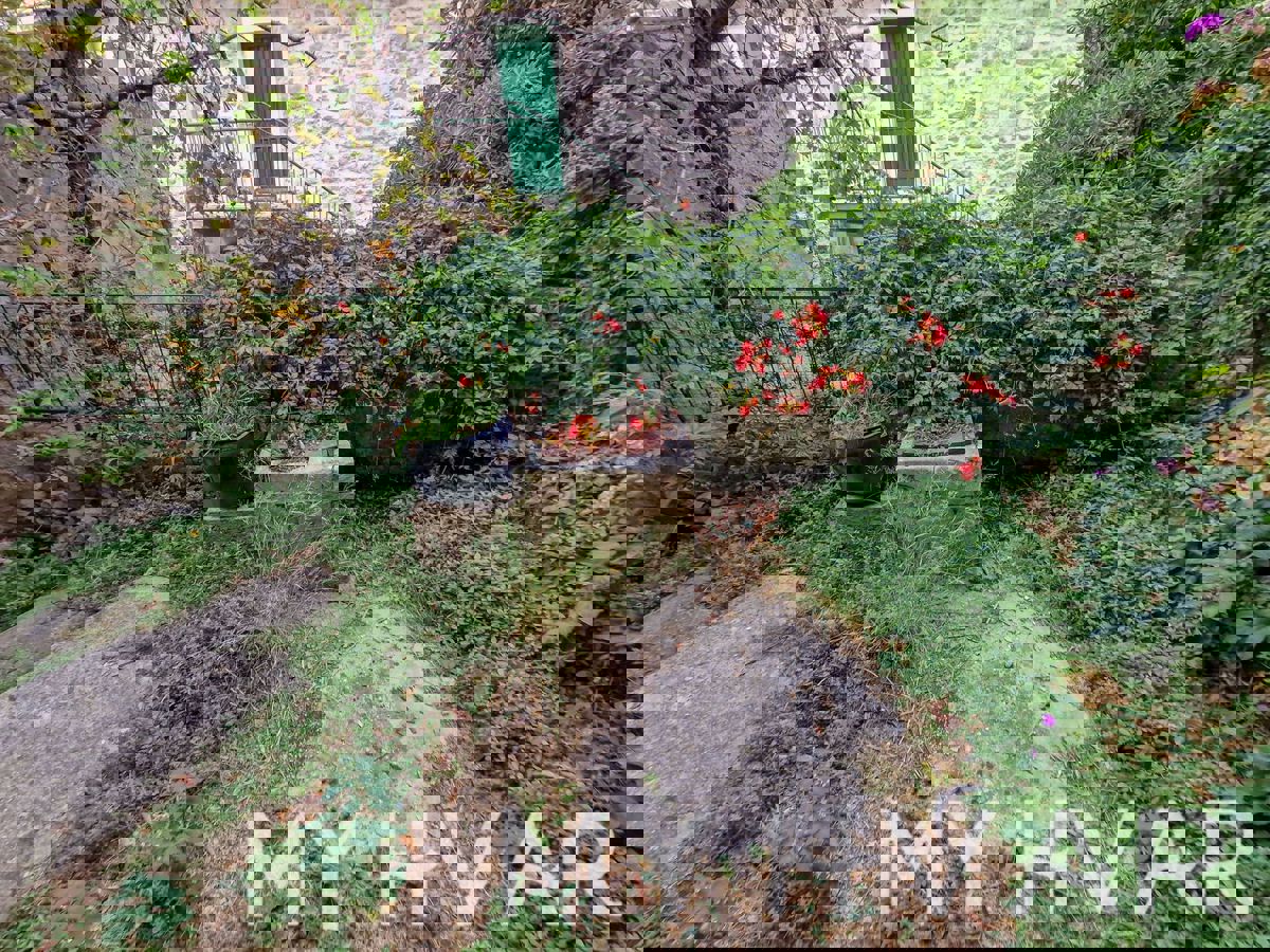 Casa nascosta nell'Upper Pitve