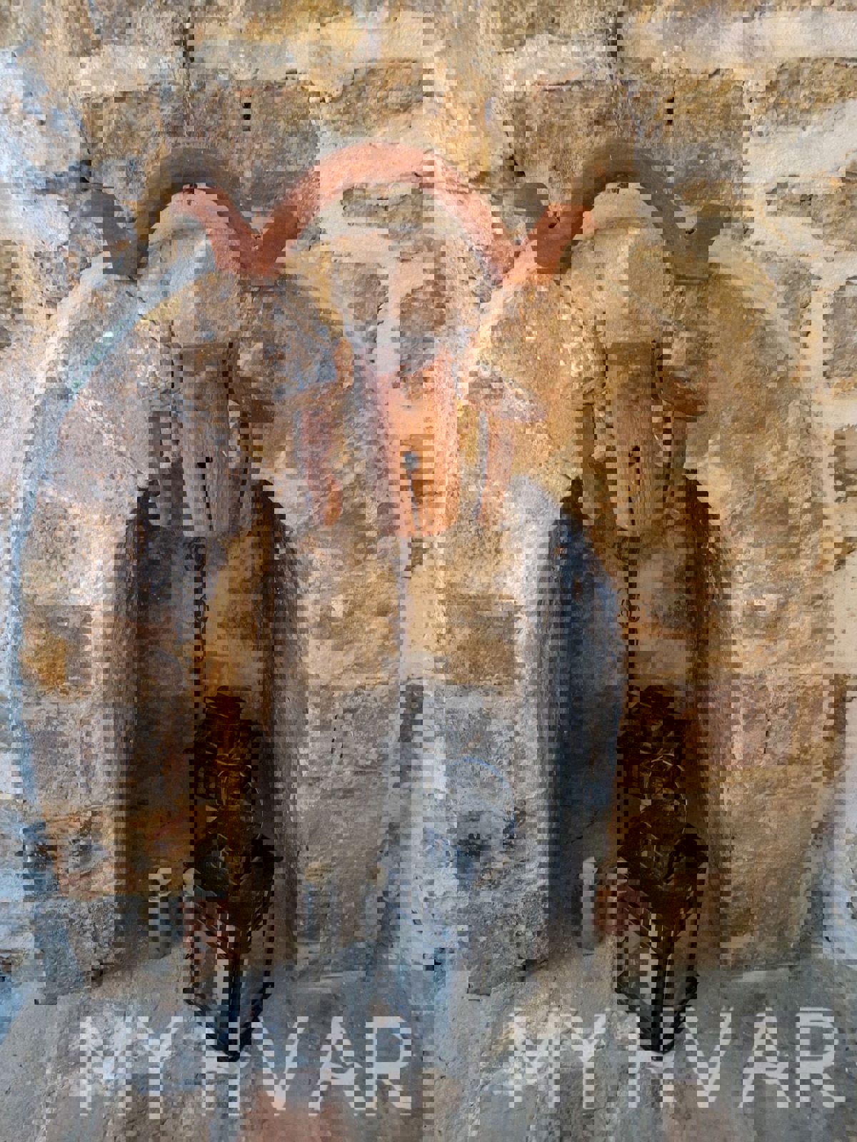 La casa dell'architetto a Pitve