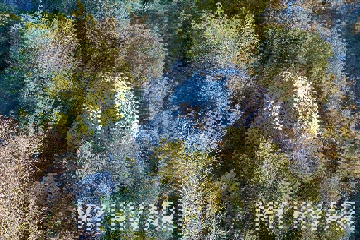 Campo agricolo ad Ager con rifinitura dalmata