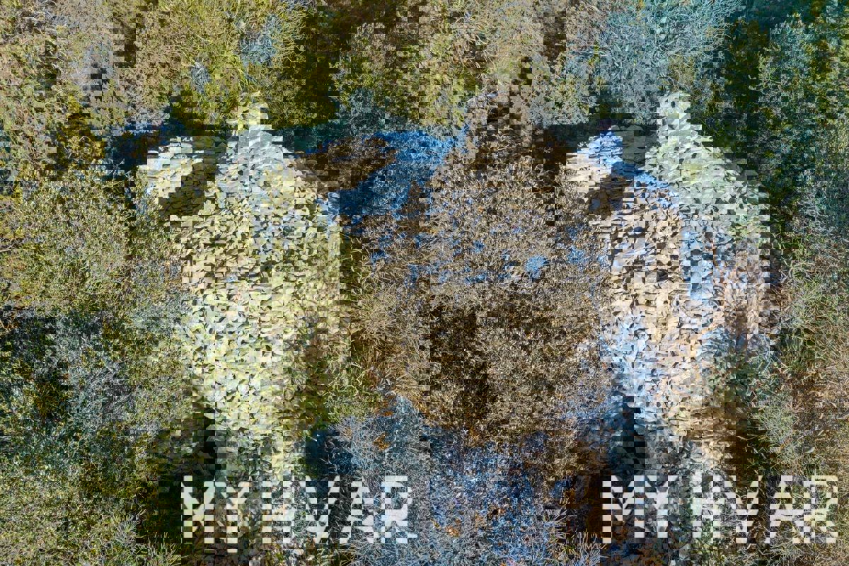 Campo agricolo ad Ager con rifinitura dalmata