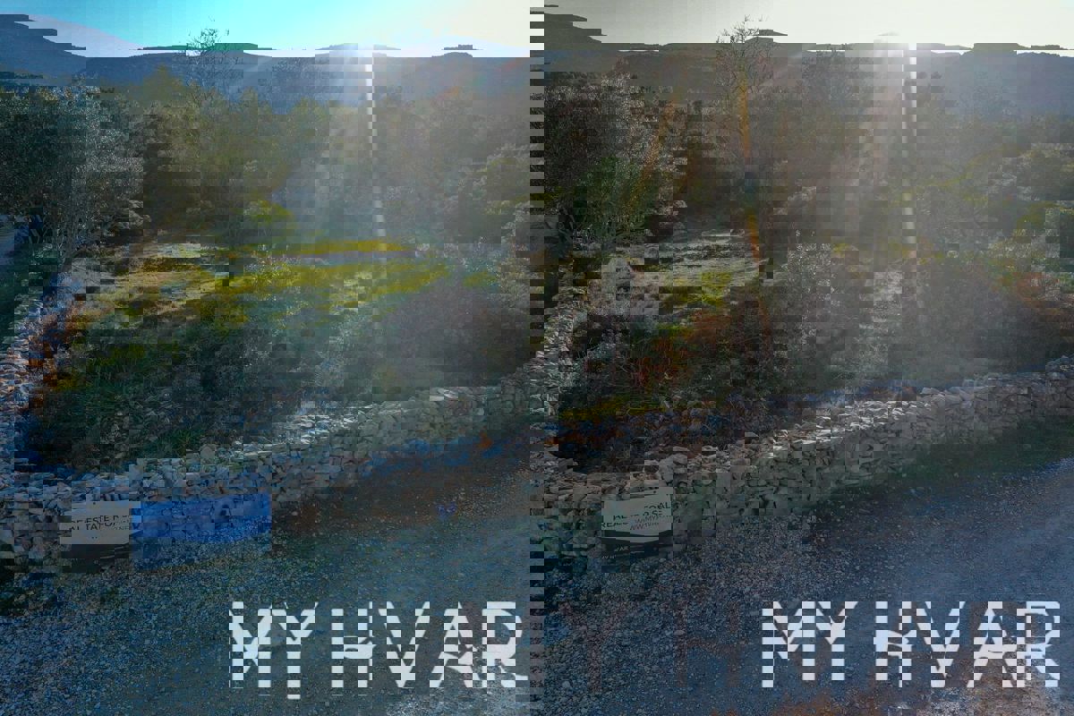 Campo agricolo ad Ager con rifinitura dalmata