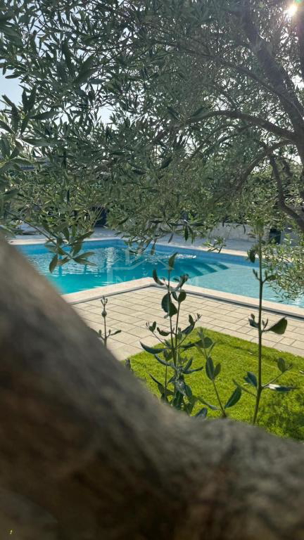 Vodice - Casa con piscina, uliveto nell&apos;entroterra di Vodice