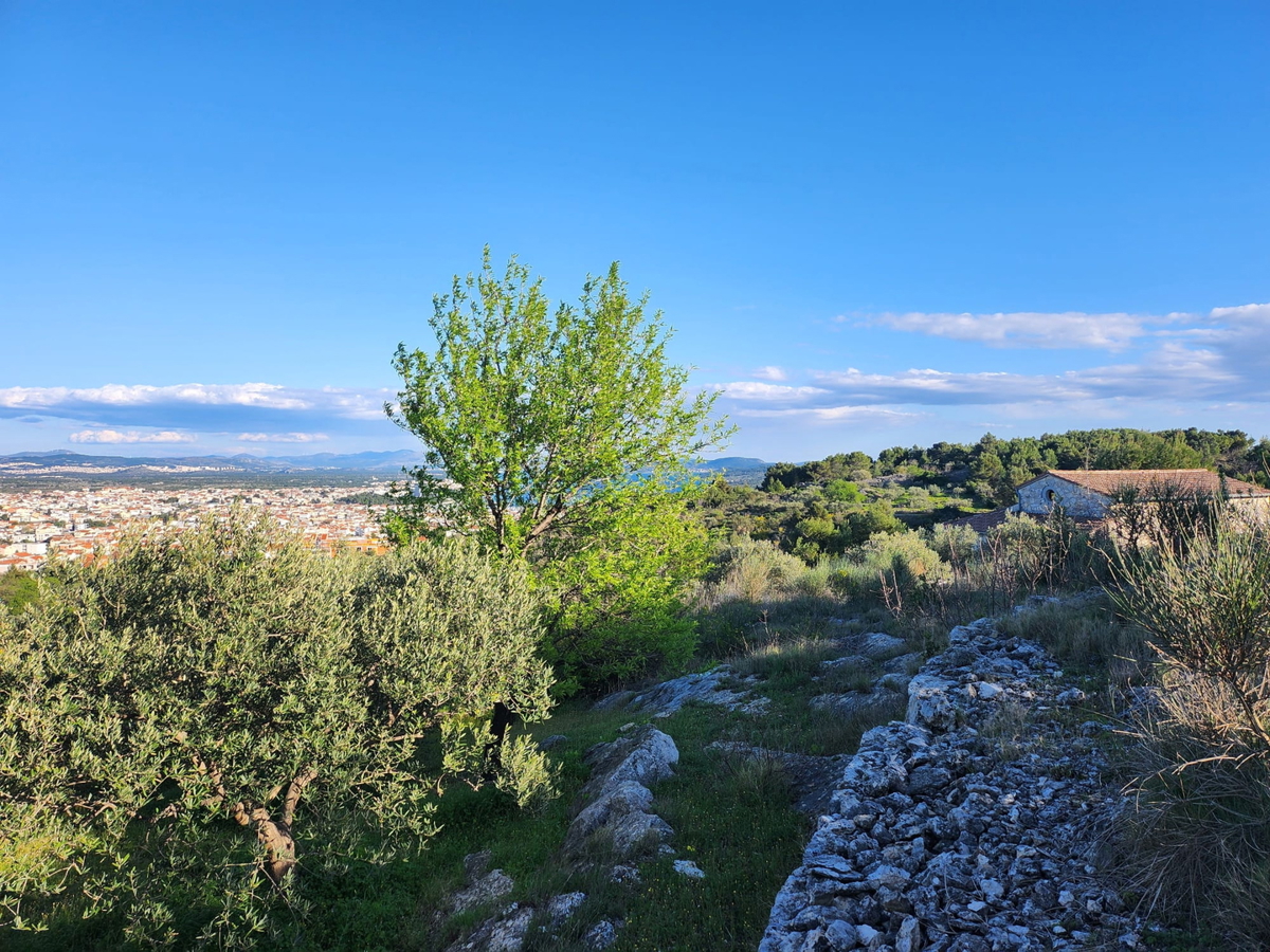 Vodice-terreno agricolo con splendida vista panoramica sul mare