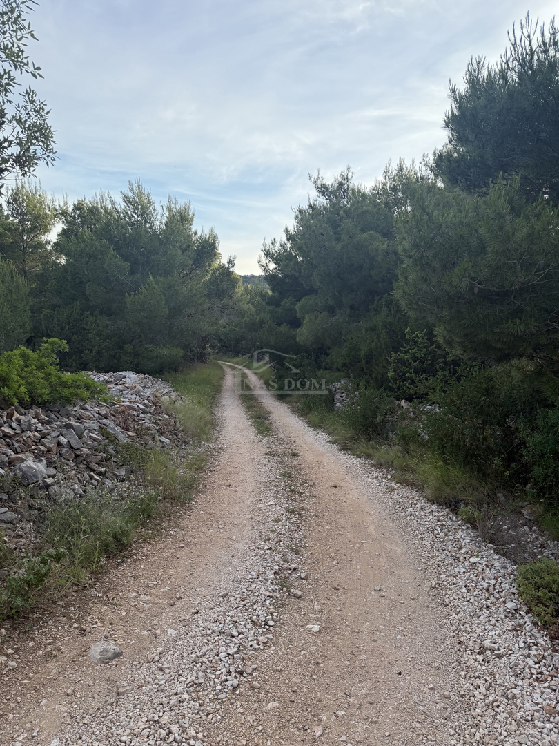 Terreno attraente sull'isola di Žirje