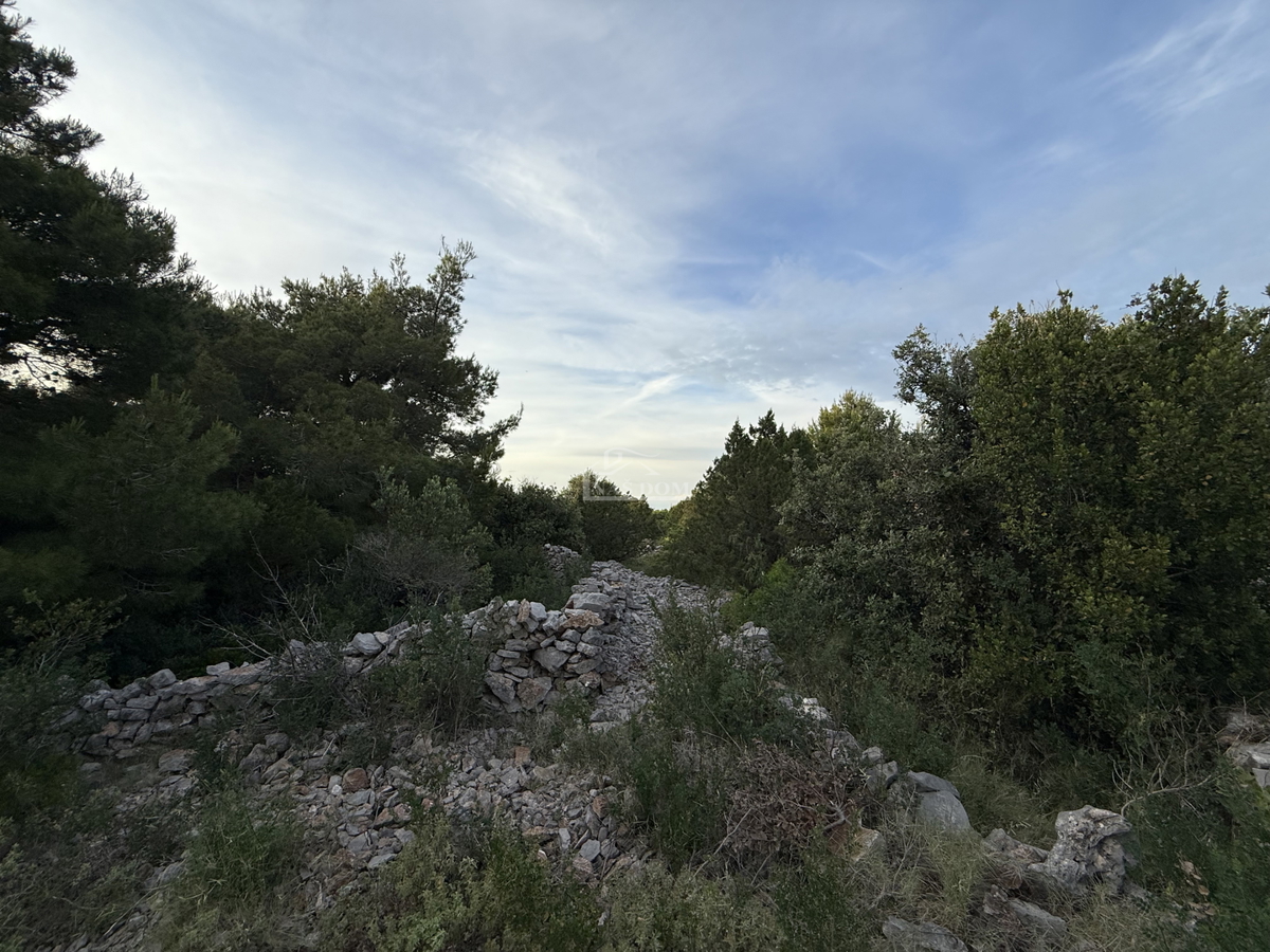Terreno attraente sull'isola di Žirje
