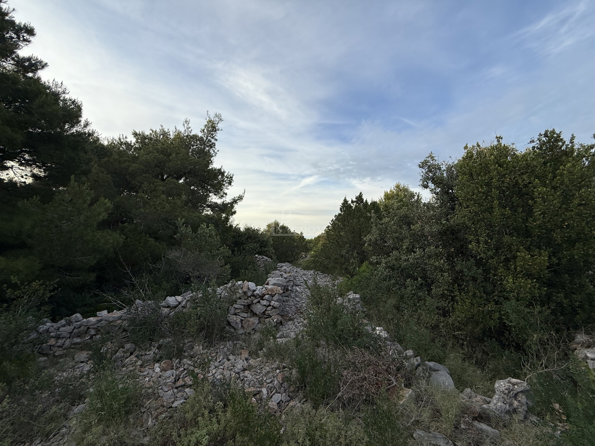 Terreno attraente sull'isola di Žirje