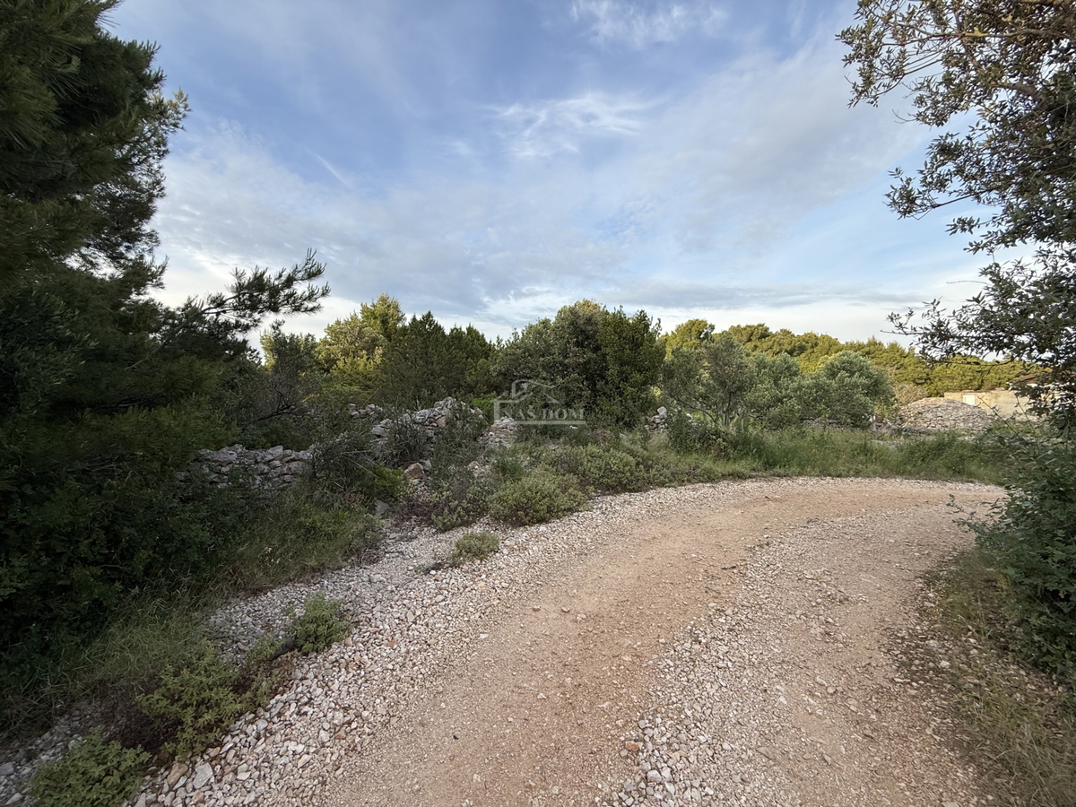Terreno attraente sull'isola di Žirje