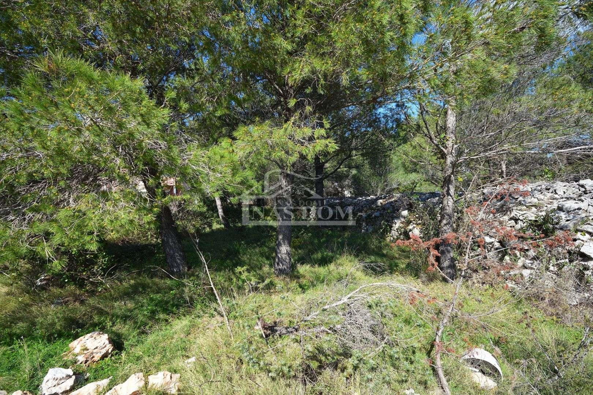 Vodice - terreno edificabile 1685 m2, 450 m dalla spiaggia