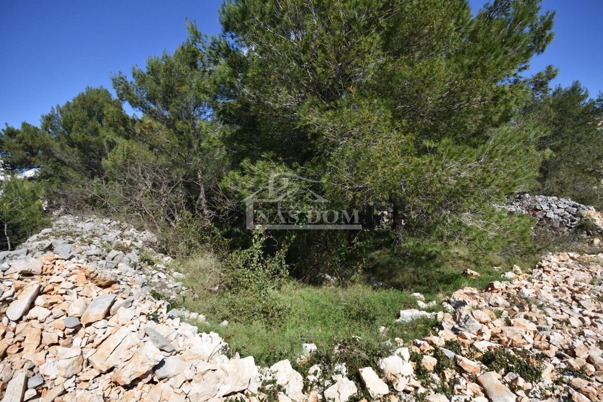 Vodice - terreno edificabile 1685 m2, 450 m dalla spiaggia