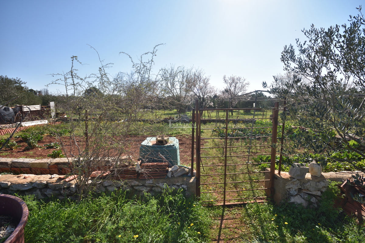 Vodice – Terreno agricolo con casa, uliveto e fabbricati accessori