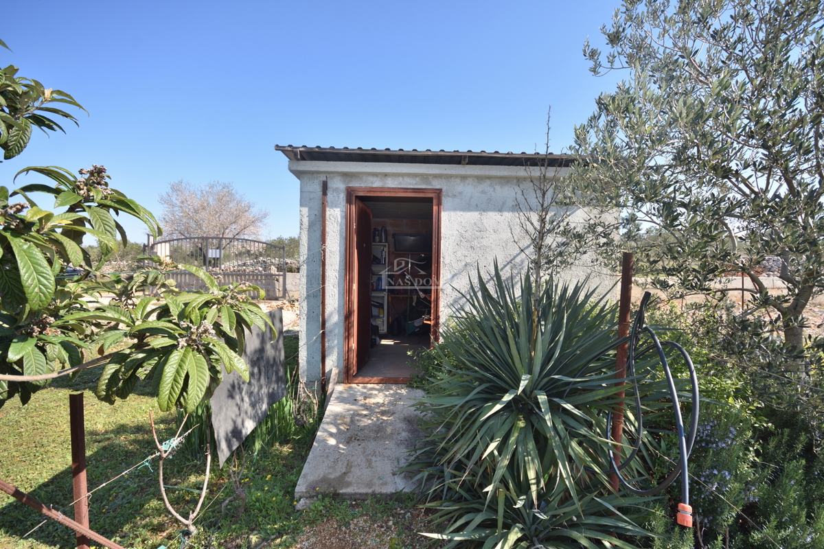 Vodice – Terreno agricolo con casa, uliveto e fabbricati accessori