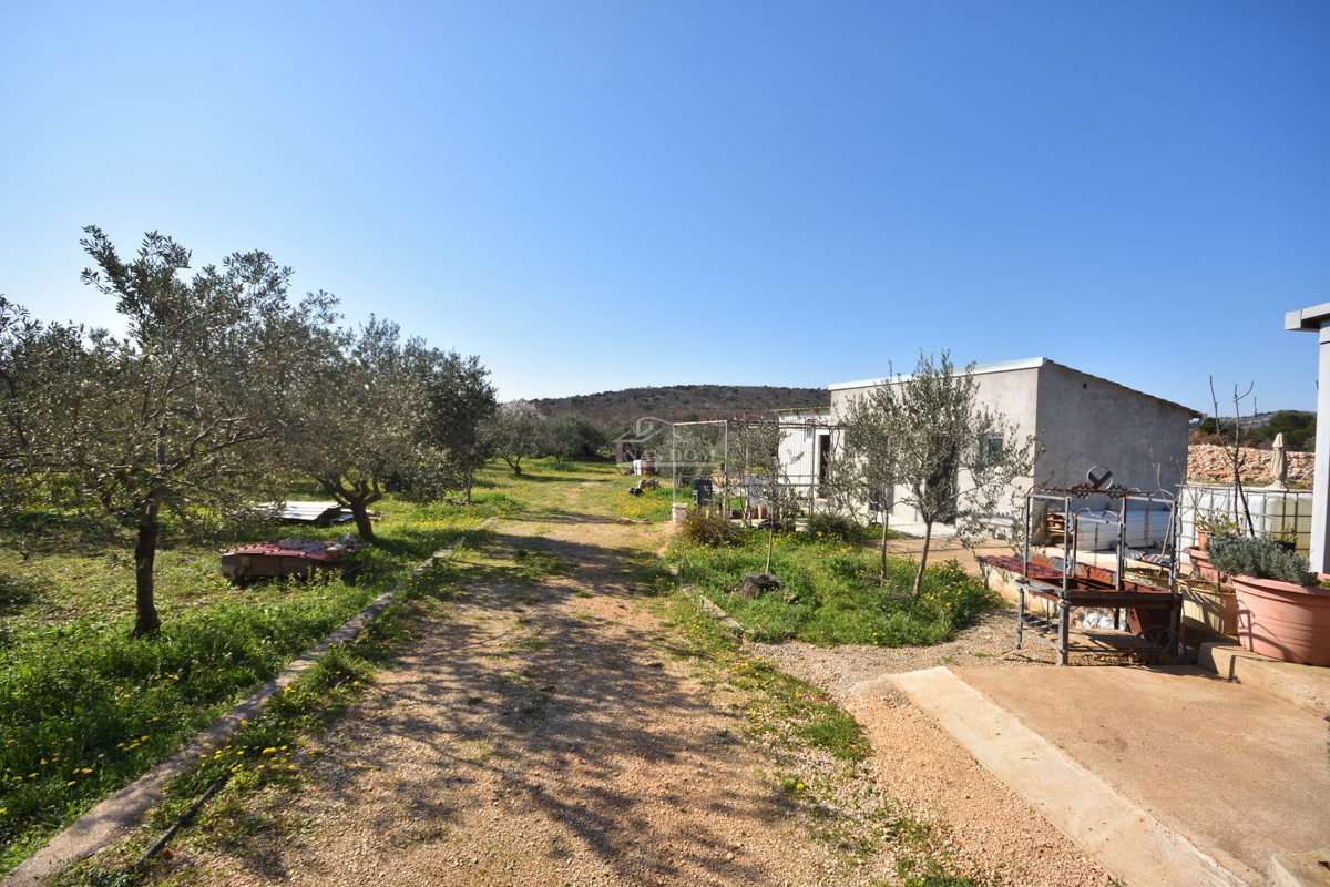 Vodice – Terreno agricolo con casa, uliveto e fabbricati accessori