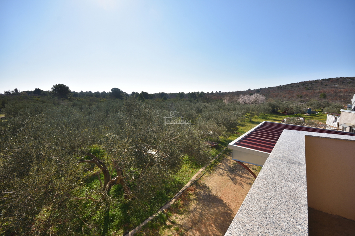 Vodice – Terreno agricolo con casa, uliveto e fabbricati accessori