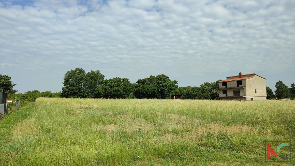 Istria, Šišan, terreno edificabile 3000m2 del formato corretto