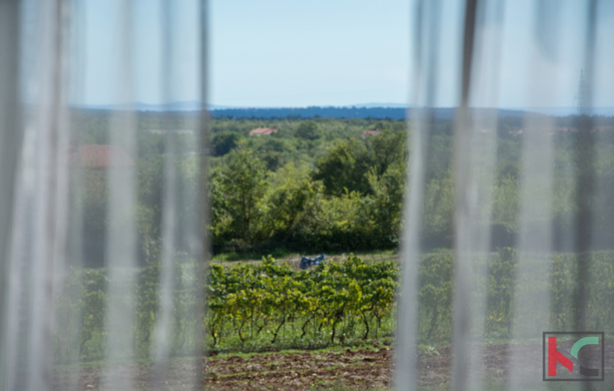 Istria, Marčana, Villa con piscina in posizione tranquilla