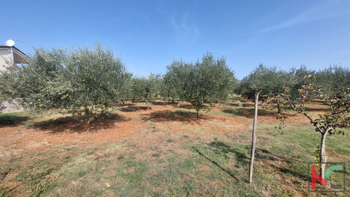 Istria, Loborika, terreno edificabile e agricolo 2321 m2, #vendita