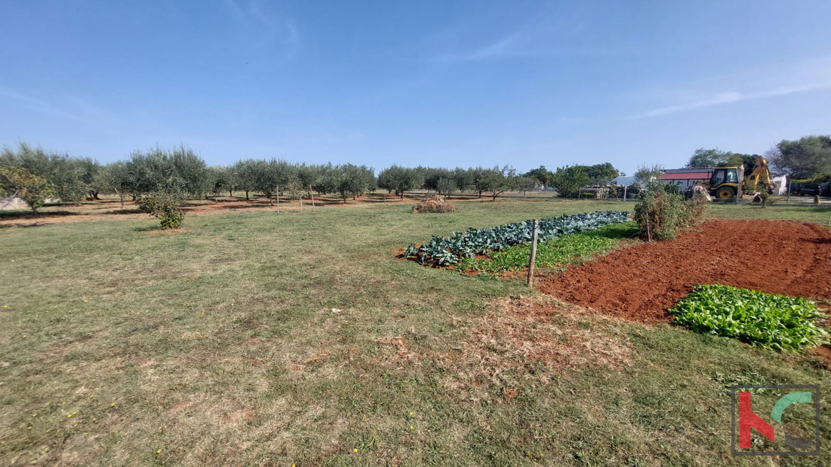 Istria, Loborika, terreno edificabile e agricolo 2321 m2, #vendita