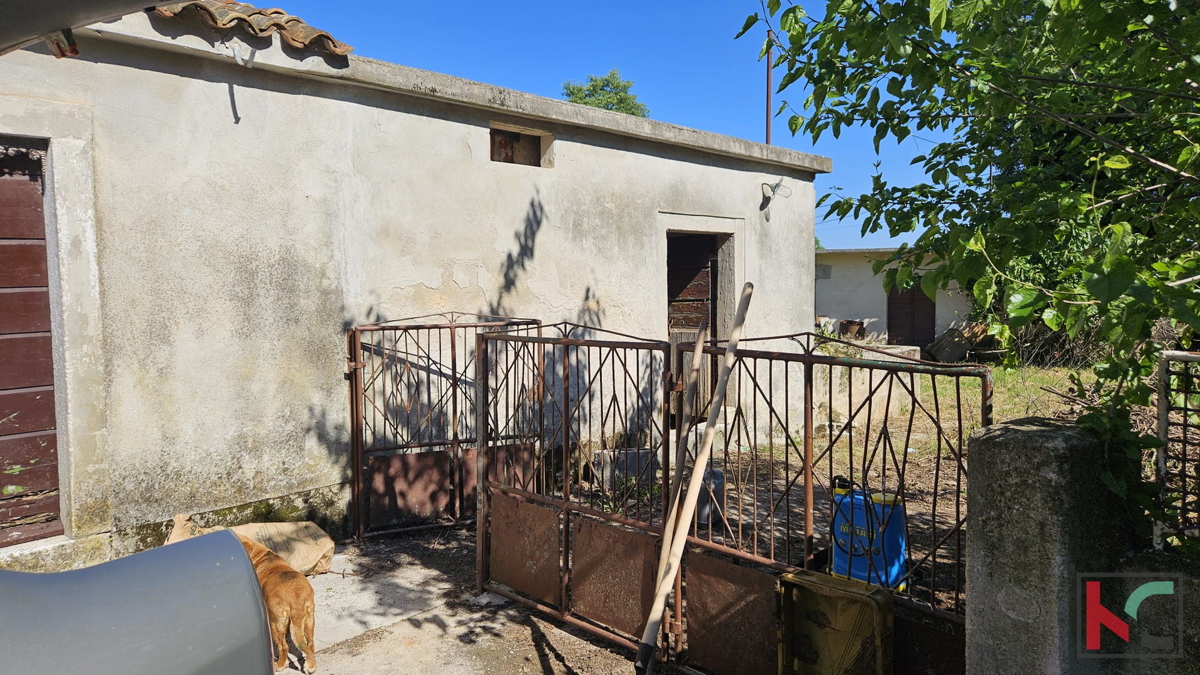 Barban, vecchia casa da ristrutturare con ampio giardino di 1784m2 #vendita