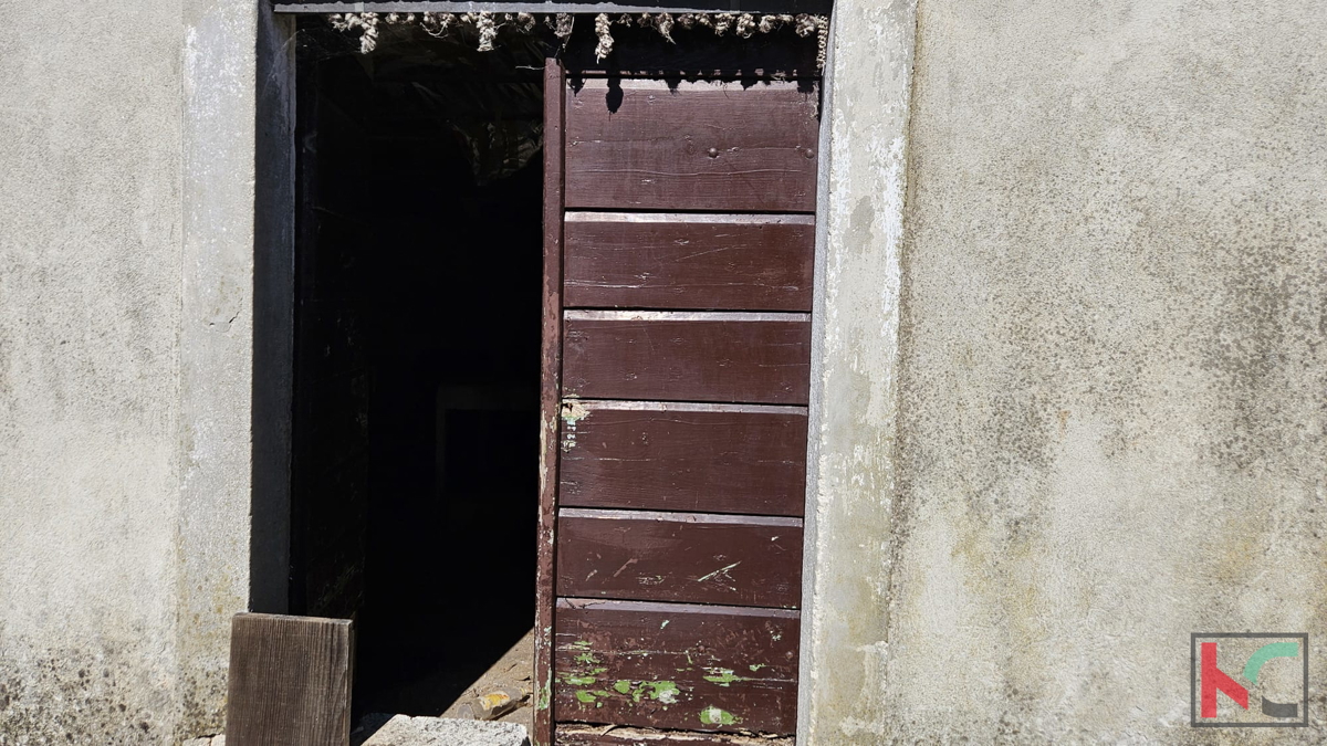 Barban, vecchia casa da ristrutturare con ampio giardino di 1784m2 #vendita