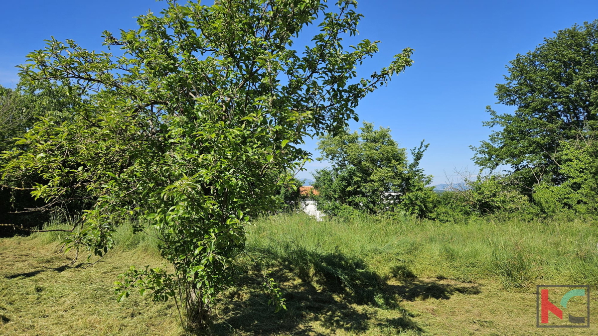 Barban, vecchia casa da ristrutturare con ampio giardino di 1784m2 #vendita