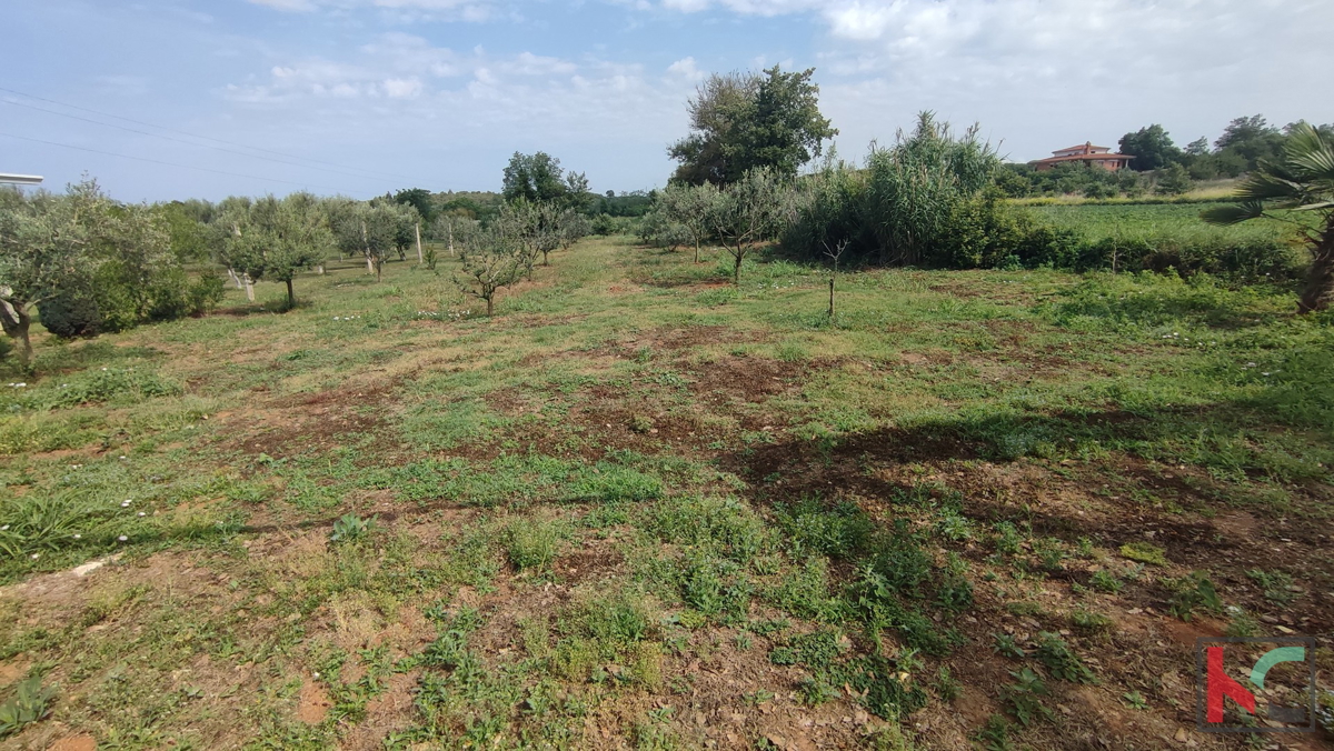 Istria, Šišan, casa non finita su un terreno di 4824m2