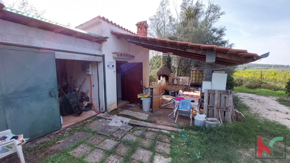 Rovigno, casa legalizzata con uliveto e vigneto su un terreno di 4471 m2 #vendita