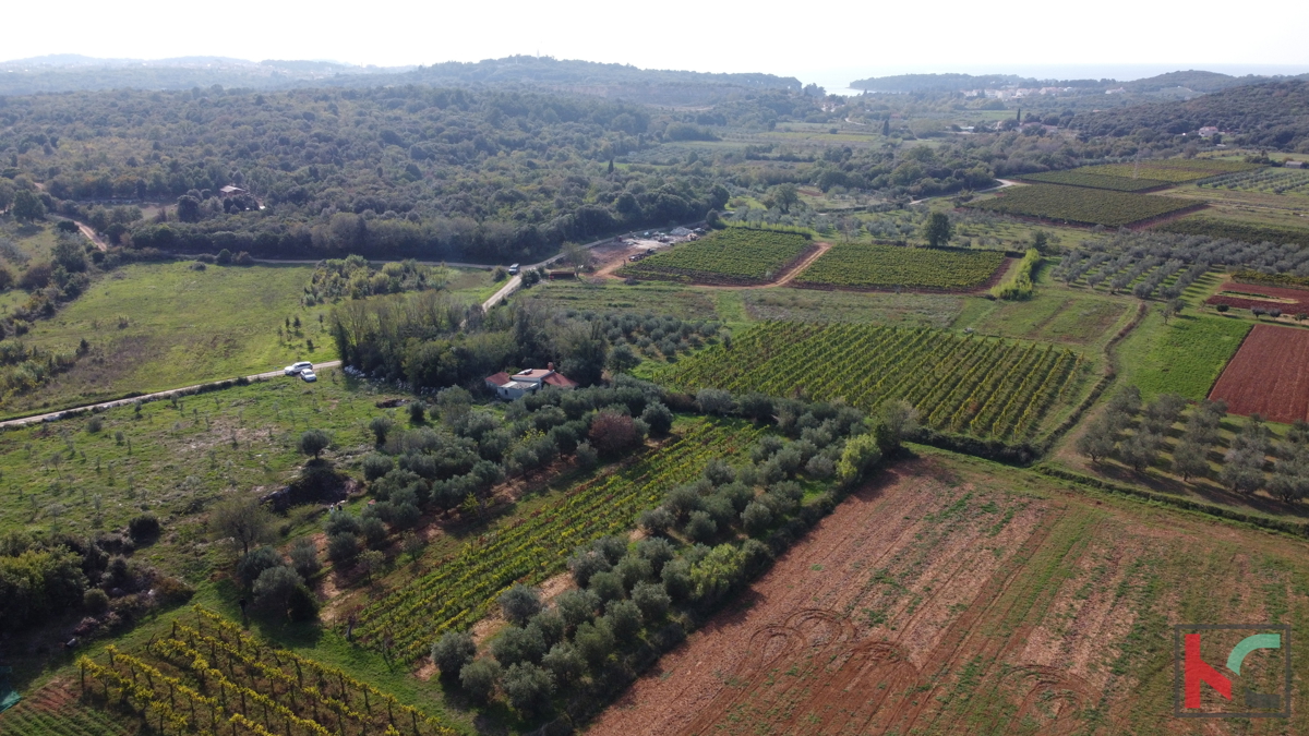 Rovigno, casa legalizzata con uliveto e vigneto su un terreno di 4471 m2 #vendita