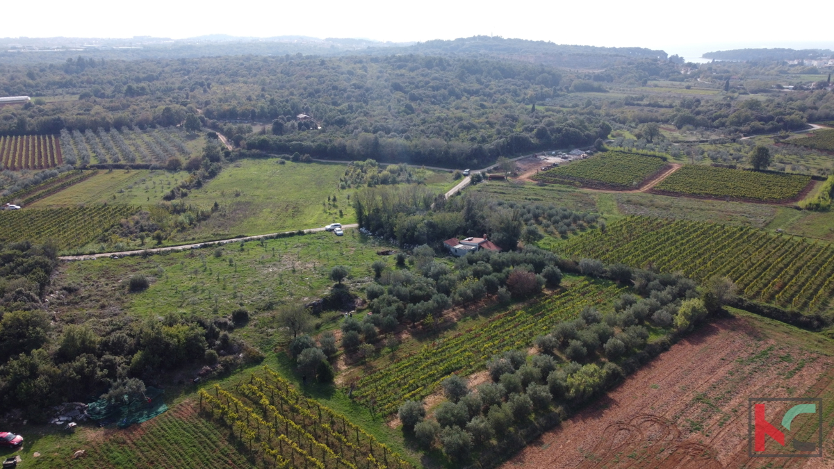 Rovigno, casa legalizzata con uliveto e vigneto su un terreno di 4471 m2 #vendita