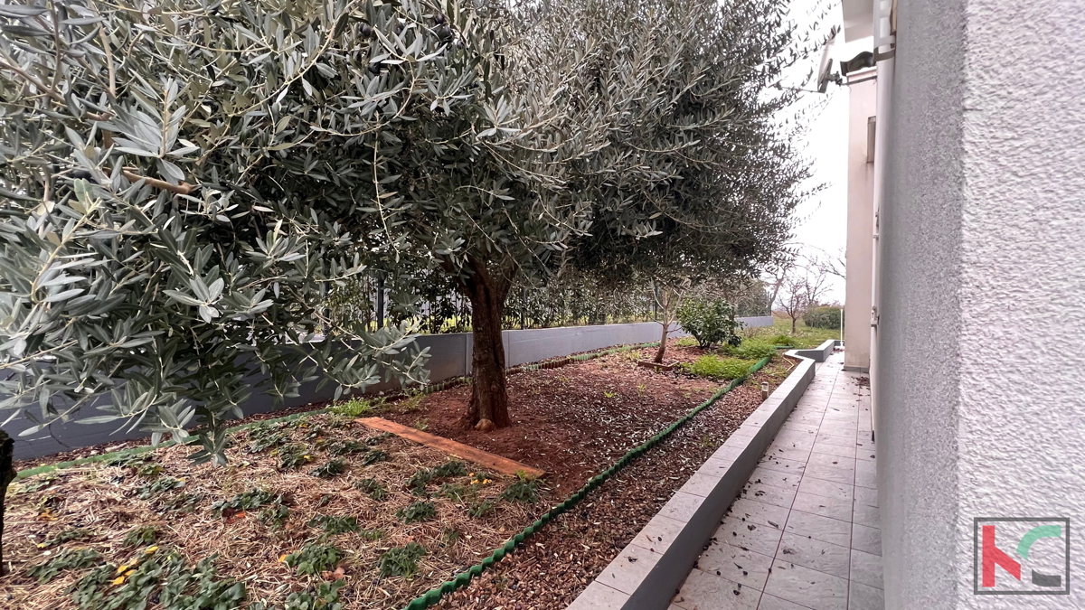 Istria, Parenzo, casa indipendente con giardino paesaggistico in ottima posizione, #vendita
