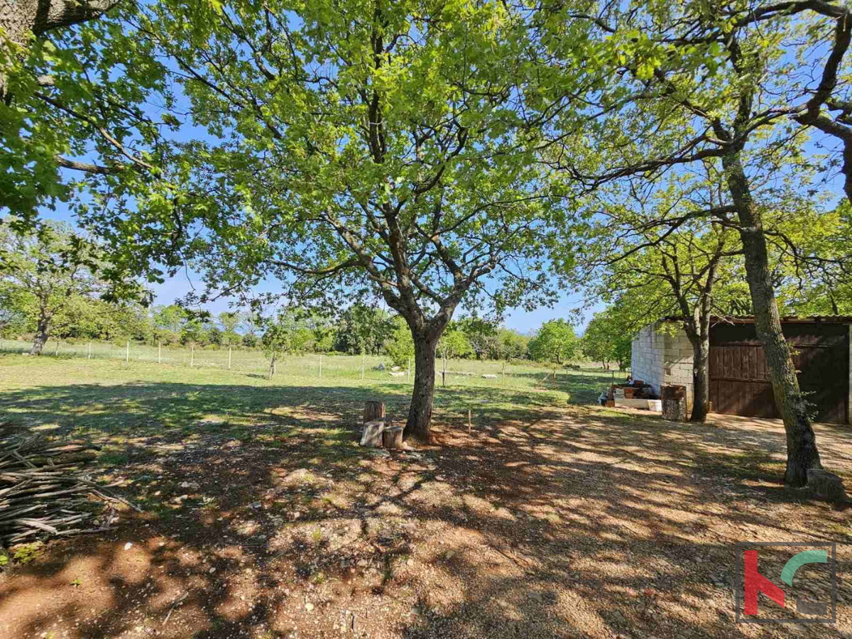 Istria, Peruški, terreno agricolo 3774m2 con costruzione legalizzata e vista mare #vendita