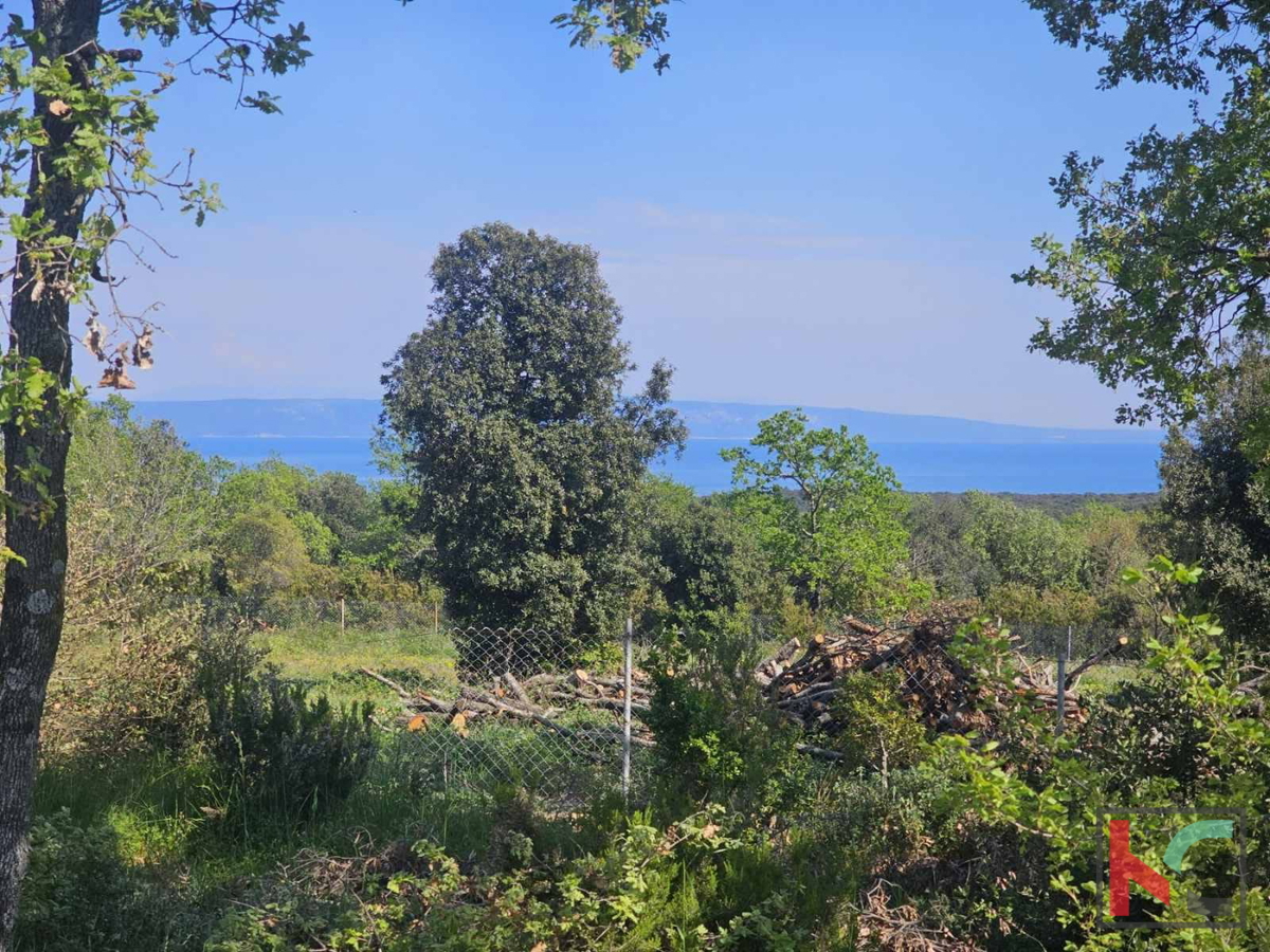 Istria, Peruški, terreno agricolo 3774m2 con costruzione legalizzata e vista mare #vendita