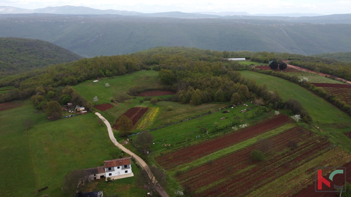 Istria - Barban, terreno con permesso di costruzione II utenze pagate, # vendita esclusiva