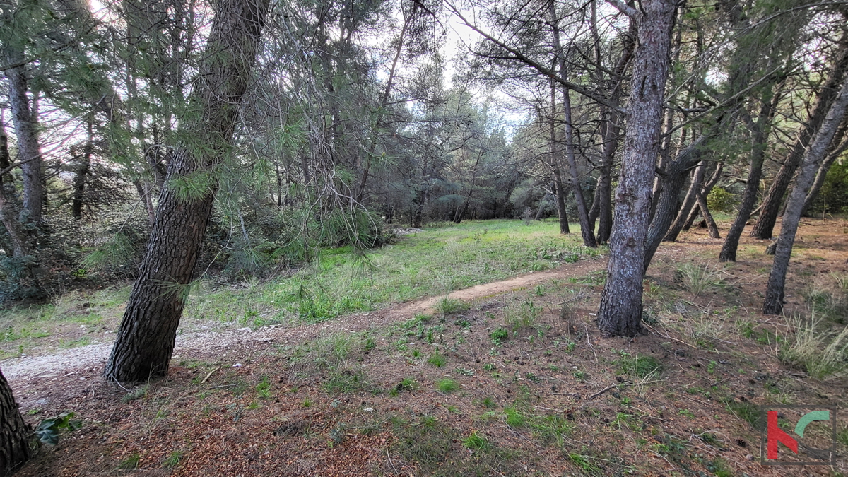 Istria, Veruda, terreno con licenza edilizia II top posizione Lungomare