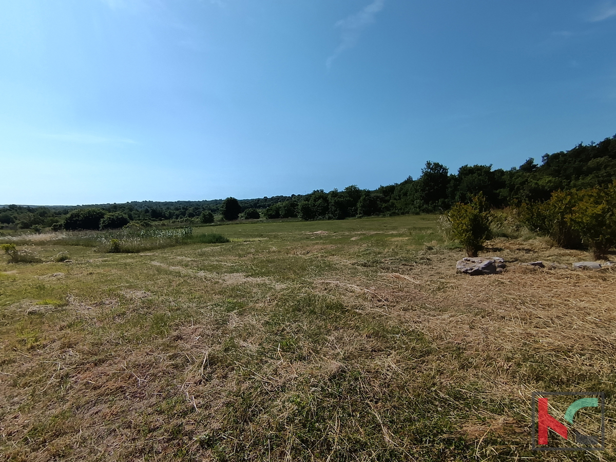 ISTRA, ZONA ROVINJA, CASA VACANZE CON AMPIO TERRENO, #VENDITA