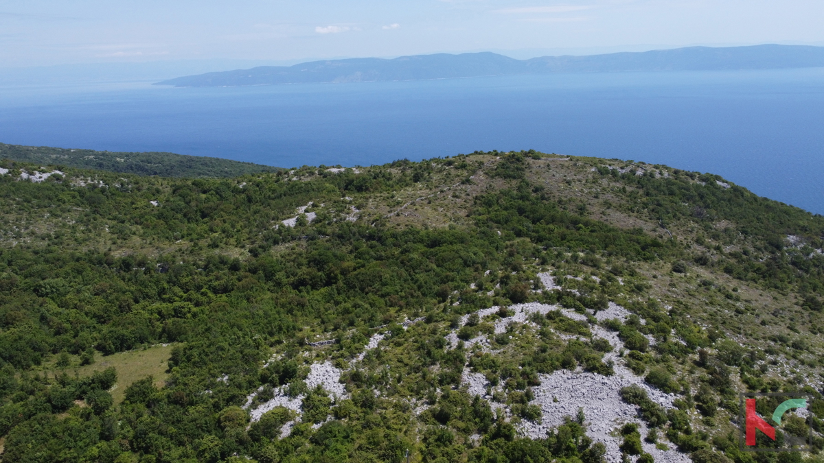 TERRENO 4985 m2 CON VISTA MARE #VENDITA