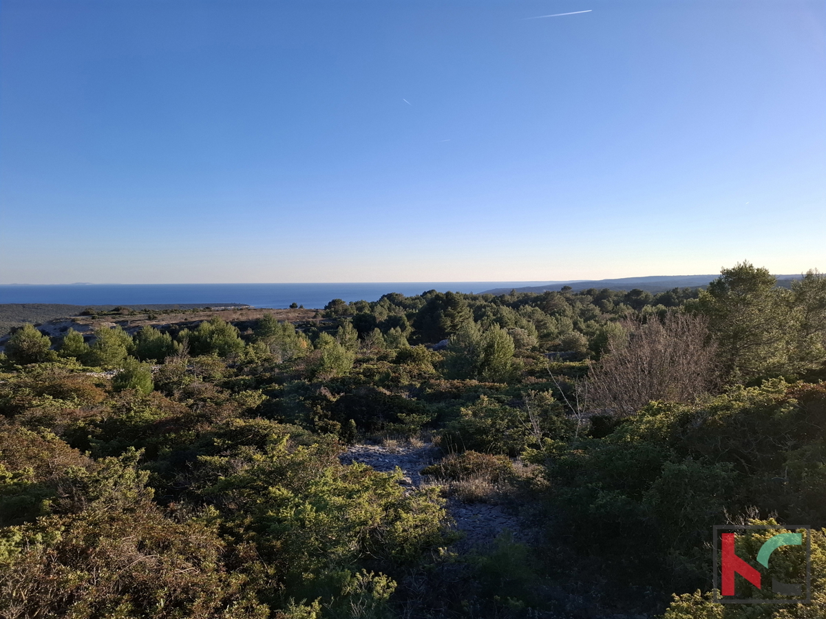 TERRENO 4985 m2 CON VISTA MARE #VENDITA