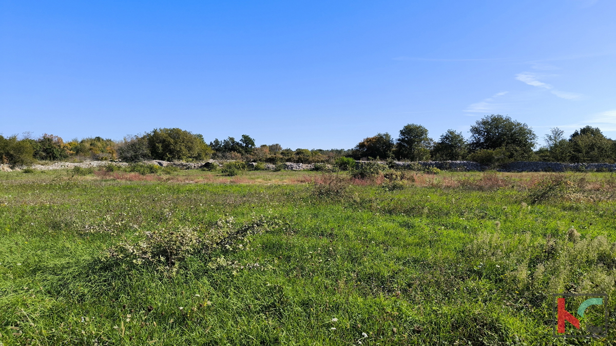VODNJAN, TERRENO EDIFICABILE CON VISTA MARE #VENDITA