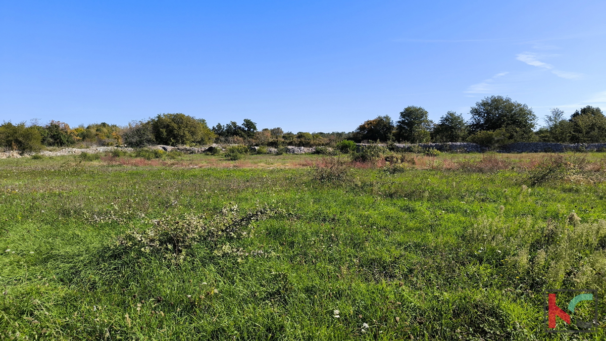 VODNJAN, TERRENO EDIFICABILE CON VISTA MARE #VENDITA