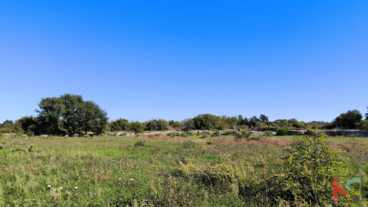 VODNJAN, TERRENO EDIFICABILE CON VISTA MARE #VENDITA