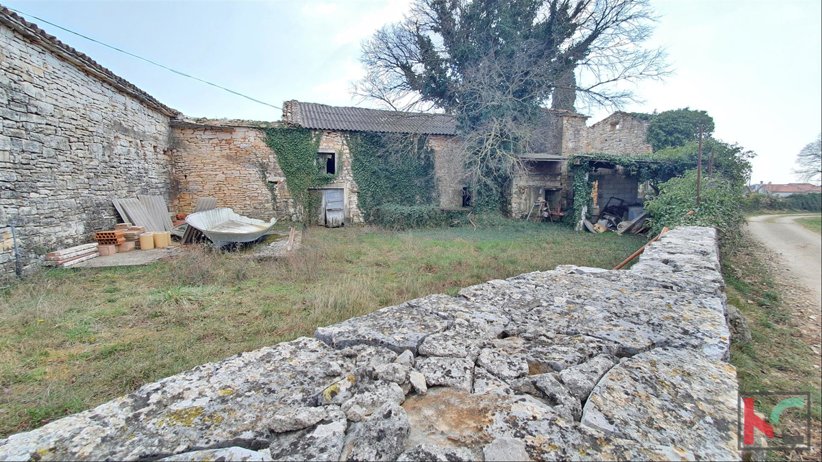 Istria - Barban, 4 vecchie case in un ampio giardino