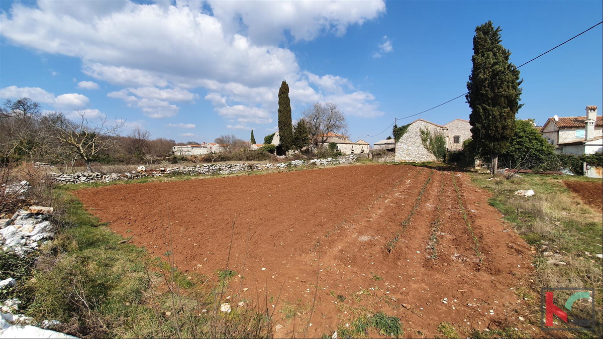 Istria - Barban, 4 vecchie case in un ampio giardino