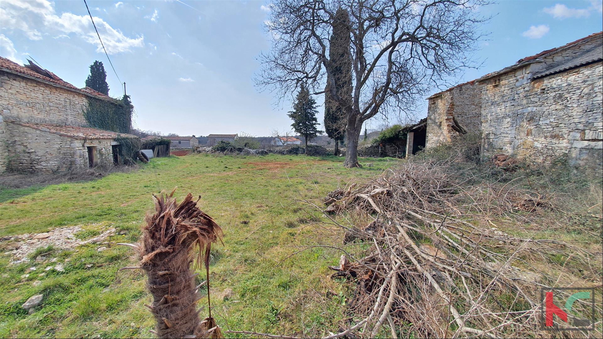 Istria - Barban, 4 vecchie case in un ampio giardino