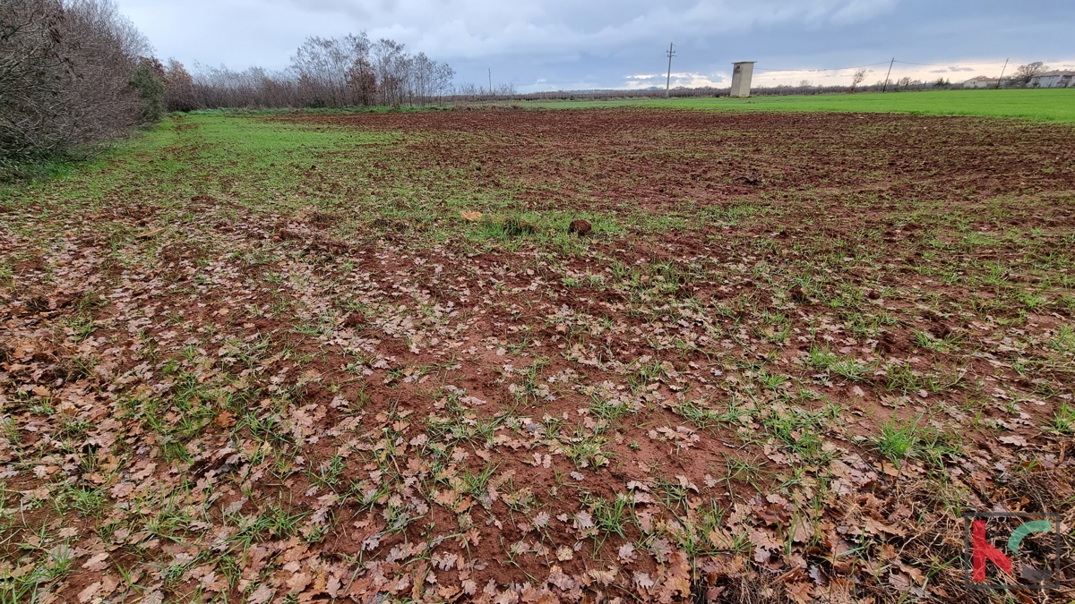 Istria, Loborika, terreno edificabile 2000m2 di formato regolare