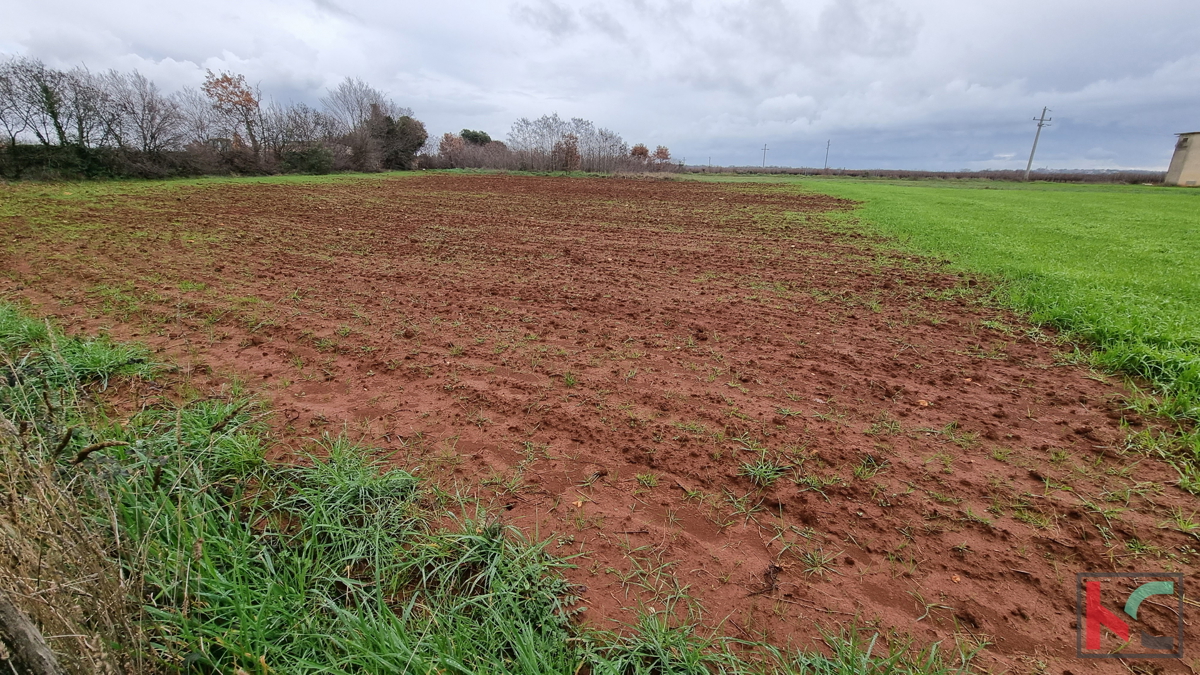 Istria, Loborika, terreno edificabile 2000m2 di formato regolare