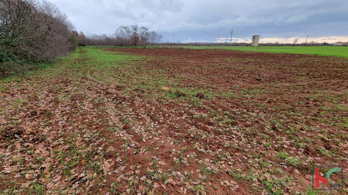 Istria, Loborika, terreno edificabile 2000m2 di formato regolare