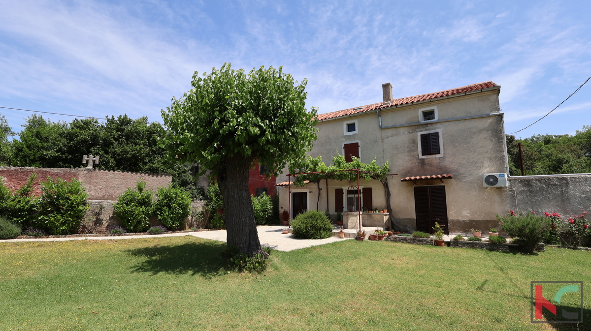 SVETVINČENAT, KAMENA KUĆA SA VELIKOM OKUĆNICOM NA ODLIČNOJ LOKACIJI #PRODAJA