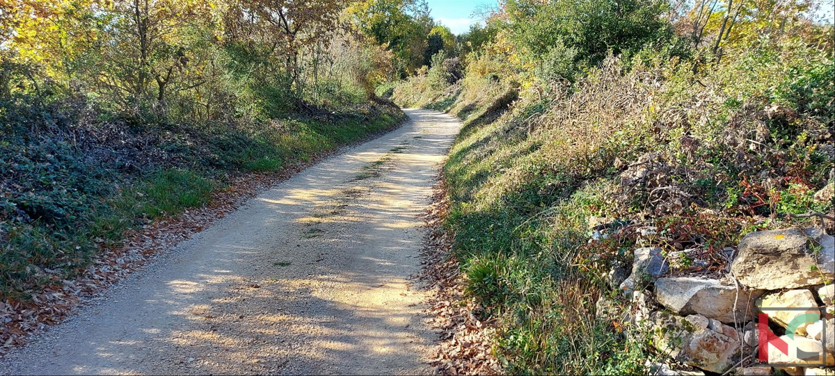 Istria, Rovigno, Palud terreno agricolo 4128m2