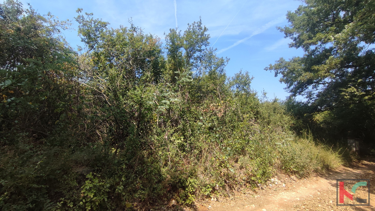 Manjadvorci, terreno 970, terreno di formato regolare