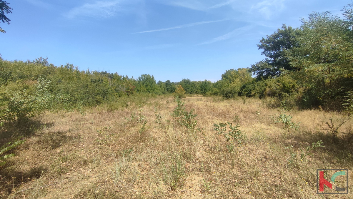 Manjadvorci, terreno 970, terreno di formato regolare