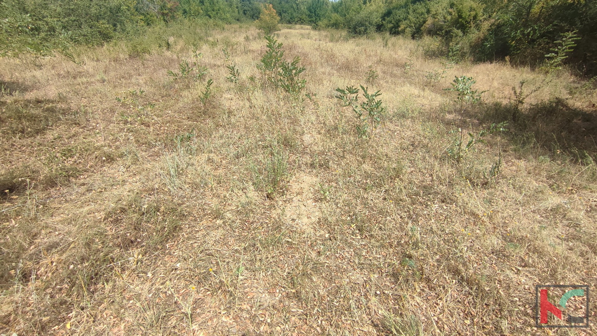 Manjadvorci, terreno 970, terreno di formato regolare